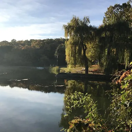 Erdei Kishaz Noszvaj