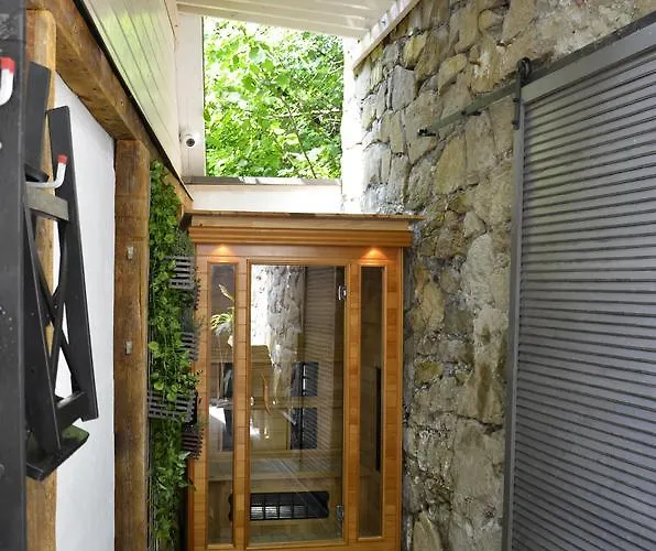 Erdei Kishaz